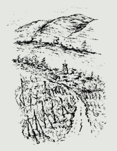Zeichnung Wachau